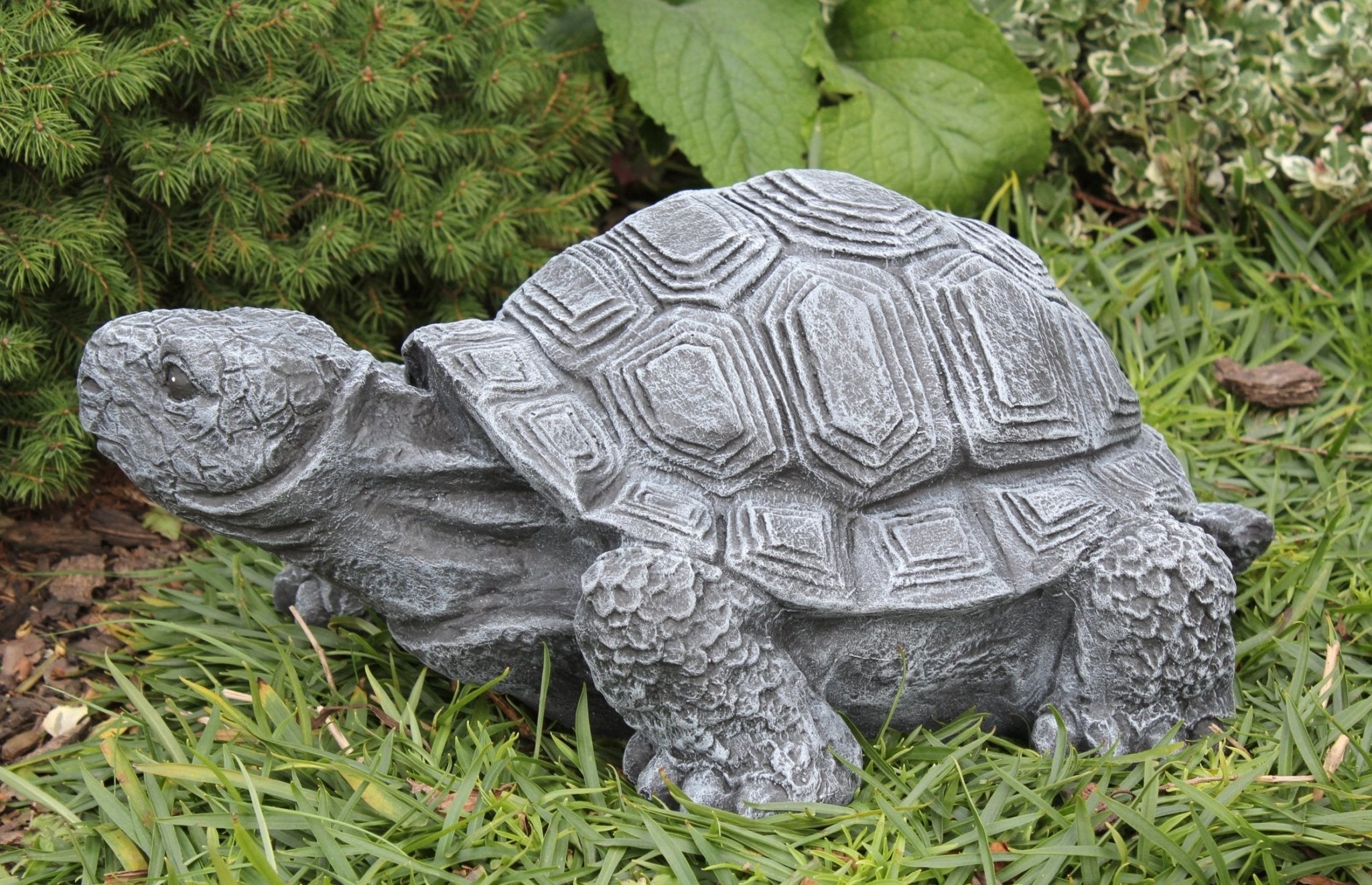 Schildkröte groß - Tiefes Kunsthandwerk